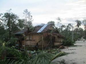 From pics taken in our province of Aklan, Madalag, Philippines, after Typhoon Haiyan.